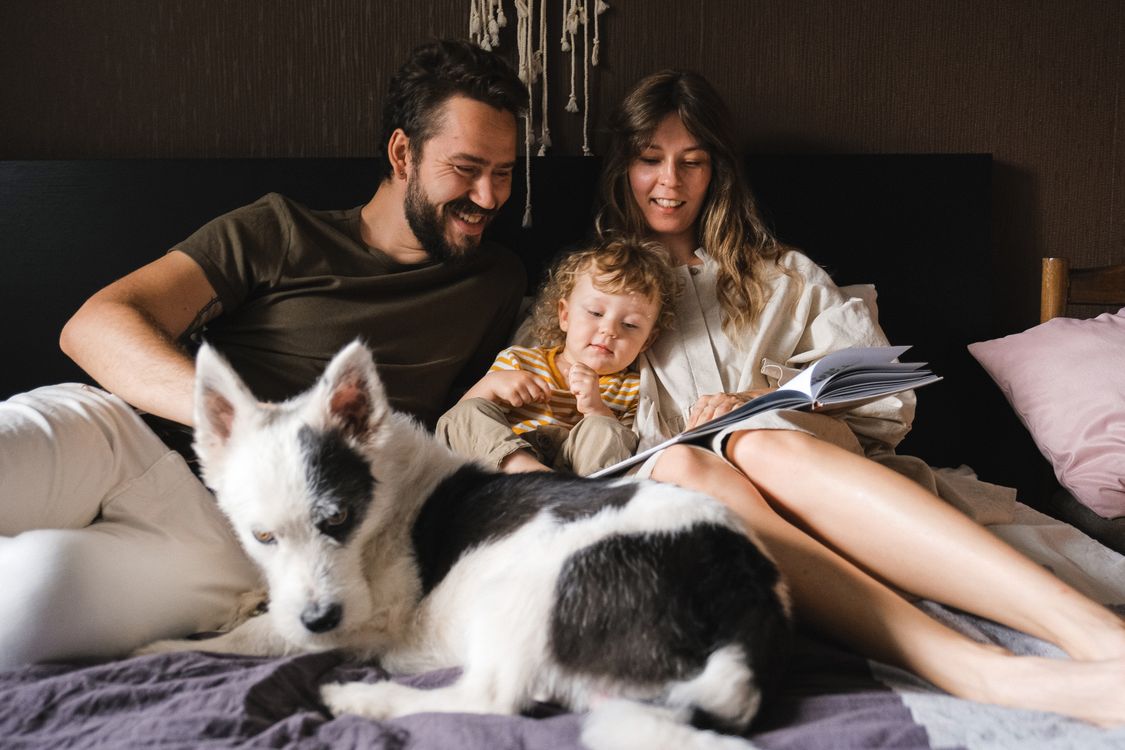 Free Happy family enjoying bonding time with child and pet, reading together on bed. Stock Photo