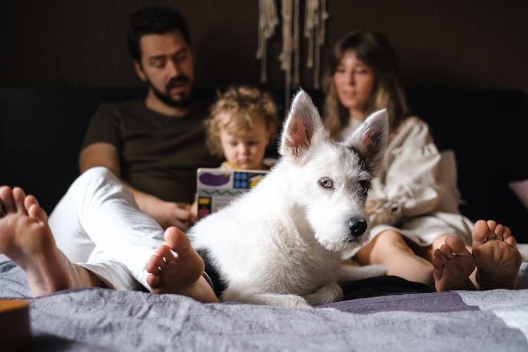 A Family On The Bed With Their Pet Dog