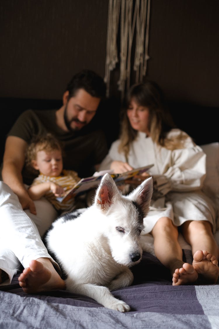 Family With A Child And A Funny Dog Reading A Book On A Bed