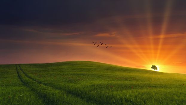 Bible Verses About Starting Over After Failure