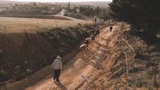 From above full body of herd in warm clothing walking on road surrounded by hill and chain link fence while herding bunch of cows in countryside