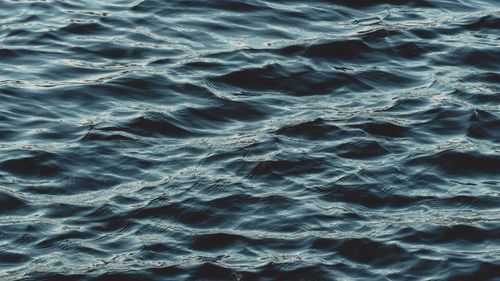 Free High-resolution close-up of the rippling water surface showcasing natural textures and reflections. Stock Photo