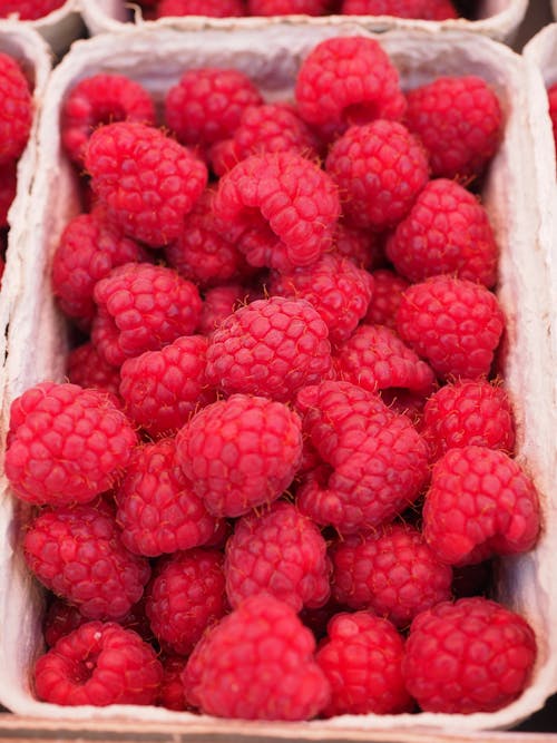 Free Red Raspberry on White Container Stock Photo