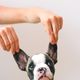 Pet business owner 1
