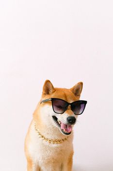 一只戴着太阳镜和金项链的时尚柴犬，散发着魅力和幽默