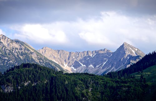 Kostnadsfri bild av alpin, äventyr, barrträd