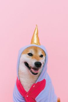 柴犬穿着粉色背景的异想天开服装，非常适合宠物爱好者
