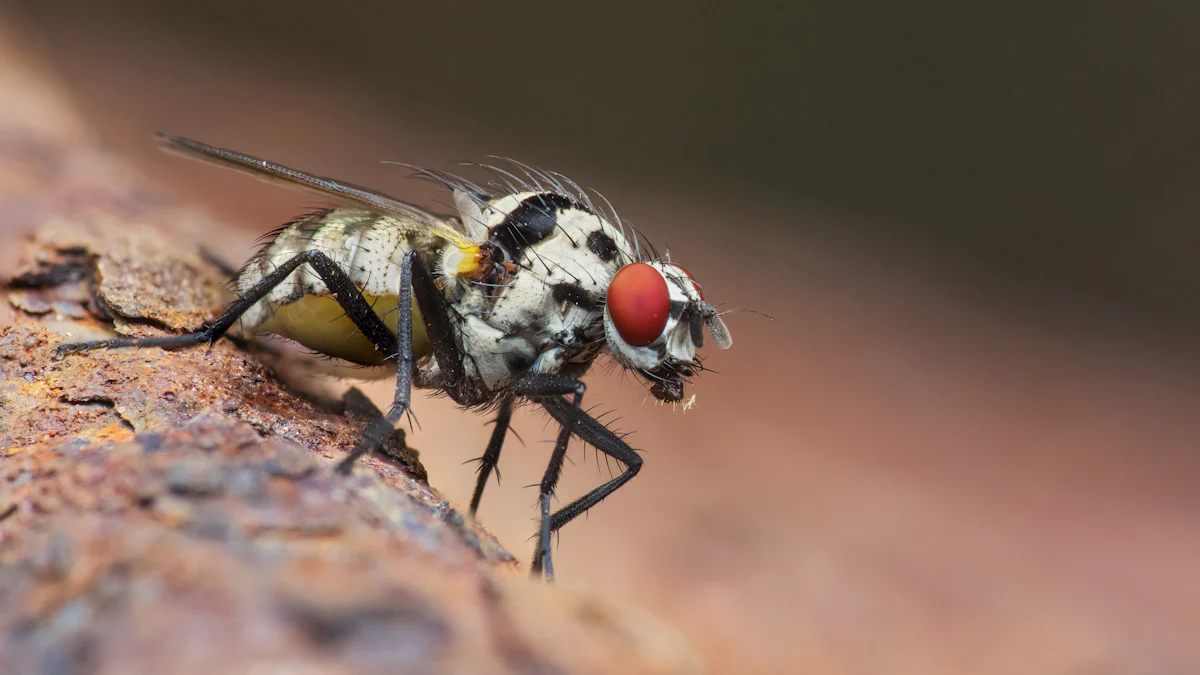 10 Genius Tricks to Get Rid of Flies and Keep Them Away