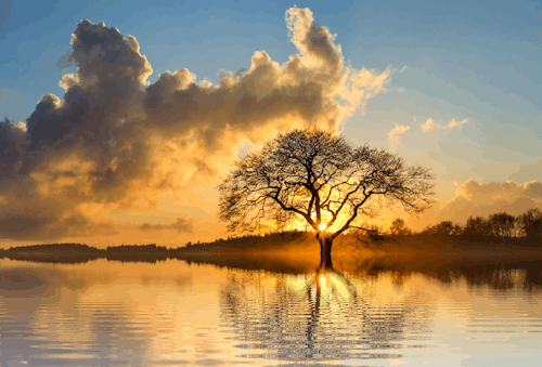 Безкоштовне стокове фото на тему «вода, дерева, Захід сонця»