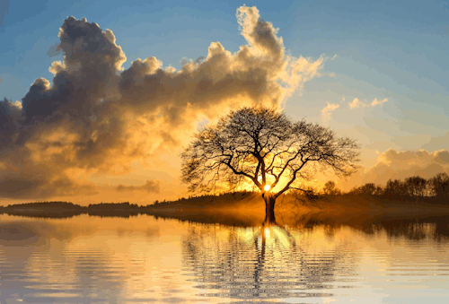 Fotografia De Paisagem De árvore E Corpo D'água