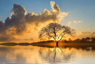 平静的湖面倒映着孤独树后美丽的日落