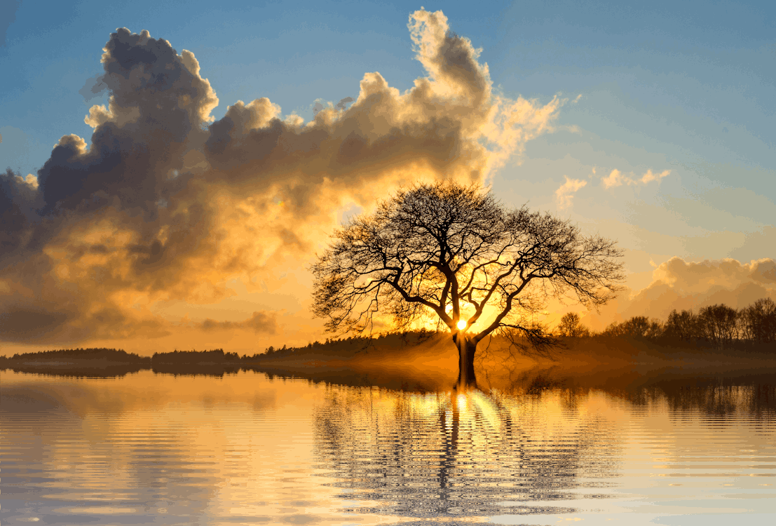 Free Landscape Photography of Tree and Body of Water Stock Photo