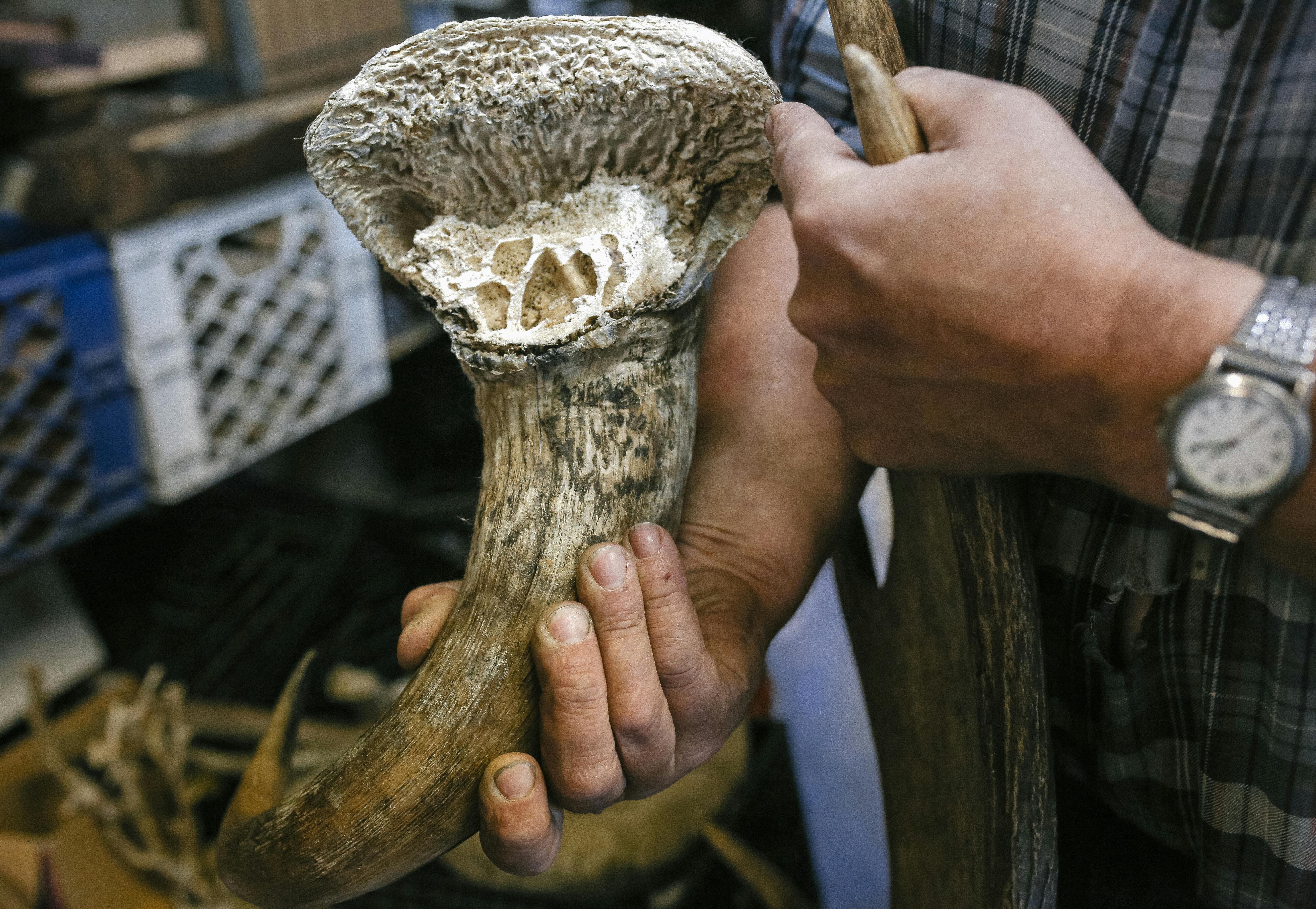 Gratuit Photos gratuites de antiquité, art, artefact Photos