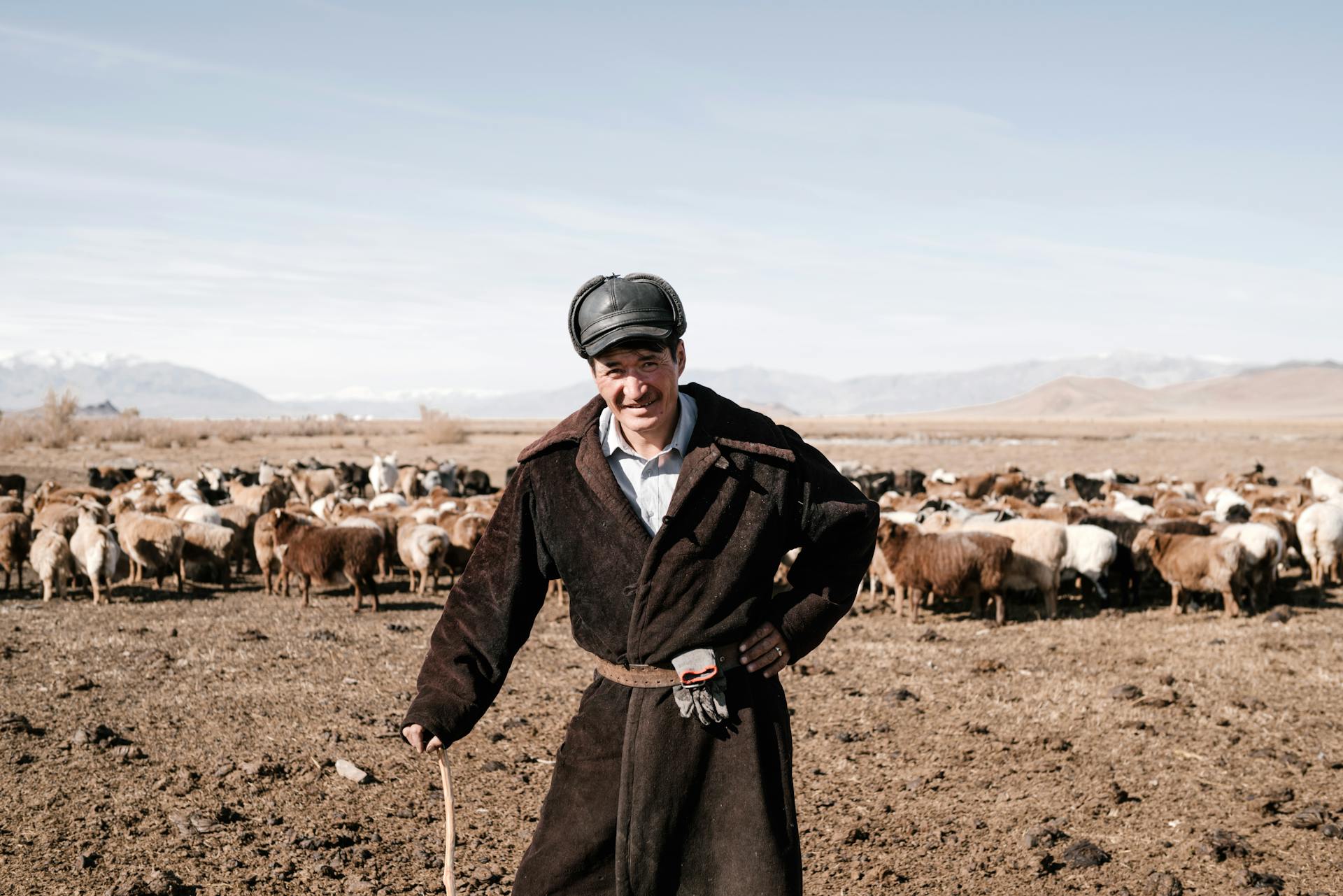 Un berger et ses moutons en Mongolie