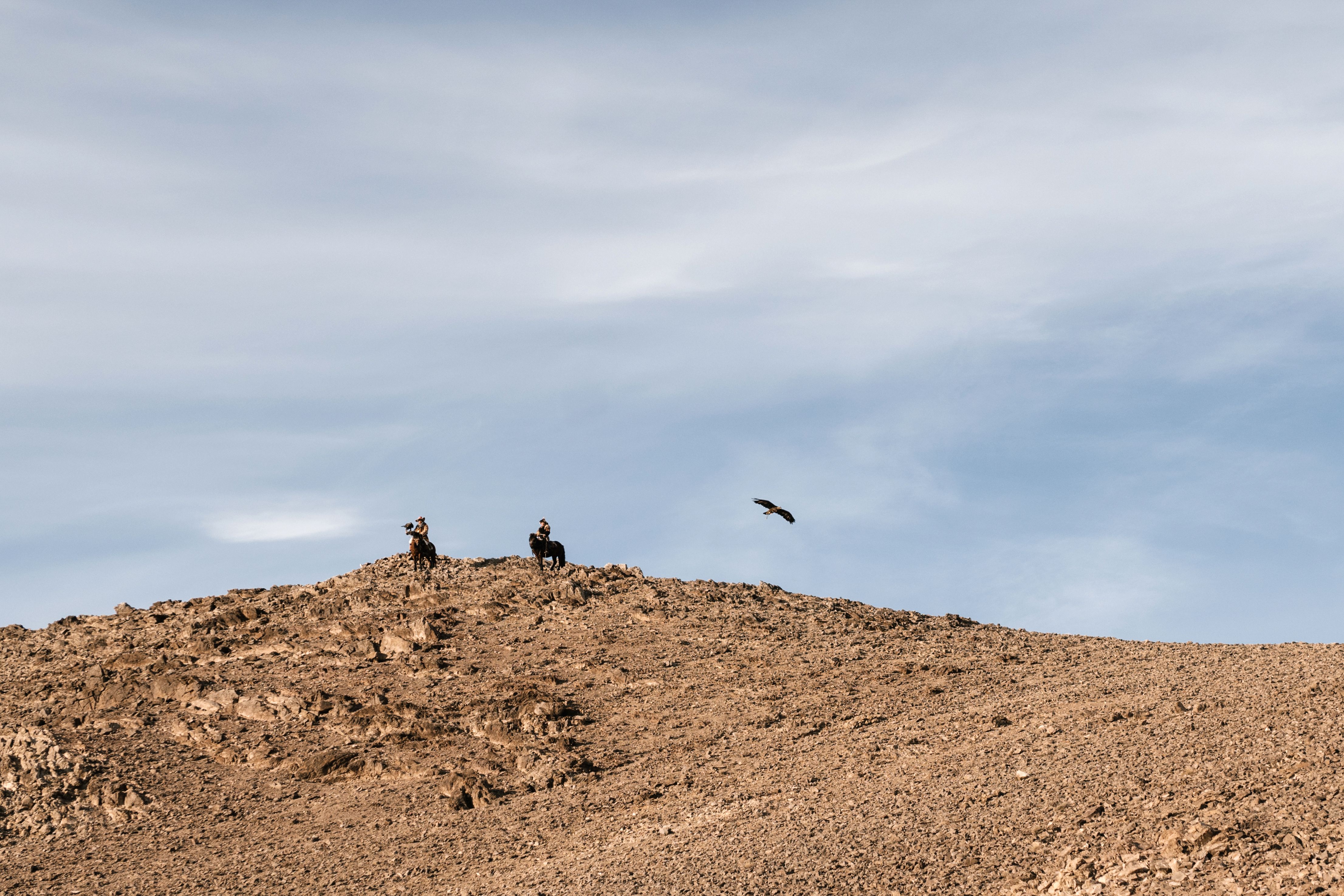 Two Men Riding Horses in Desert with Falcon Flying · Free Stock Photo