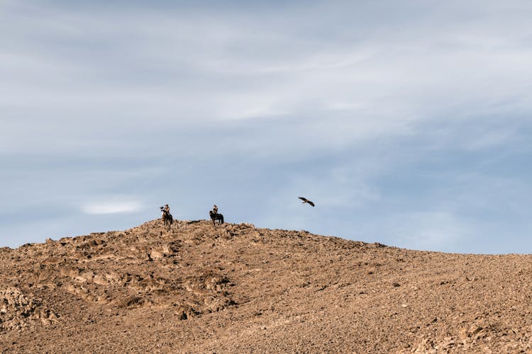 Two Men Riding Horses In Desert With Falcon Flying 