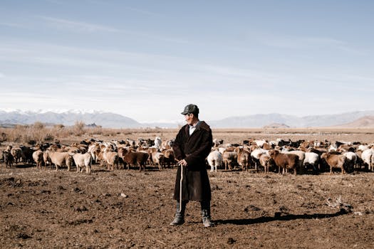 A shepherd in traditional attire watches over a flock of sheep in a vast mountainous landscape.