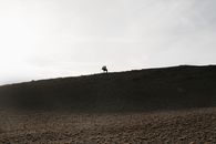 2 Person Walking on Gray Mountain Under White Sky