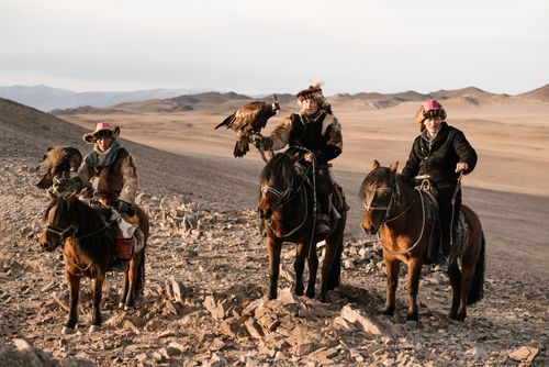 Free Three men on horseback practicing traditional falconry in the vast Mongolian desert landscape. Stock Photo