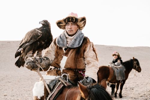 Free A Mongolian man in traditional attire practices falconry while horseback riding in a desert landscape. Stock Photo