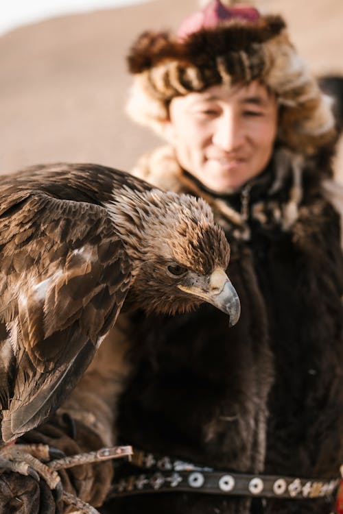 Free Eagle and Falconer of Mongolia Stock Photo