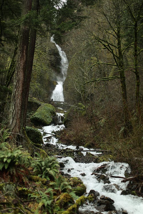 View of High Waterfall in Forest
