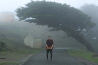 雾天里，一个男人站在路上，手拿滑板，背景是一棵倾斜的树和一栋小楼