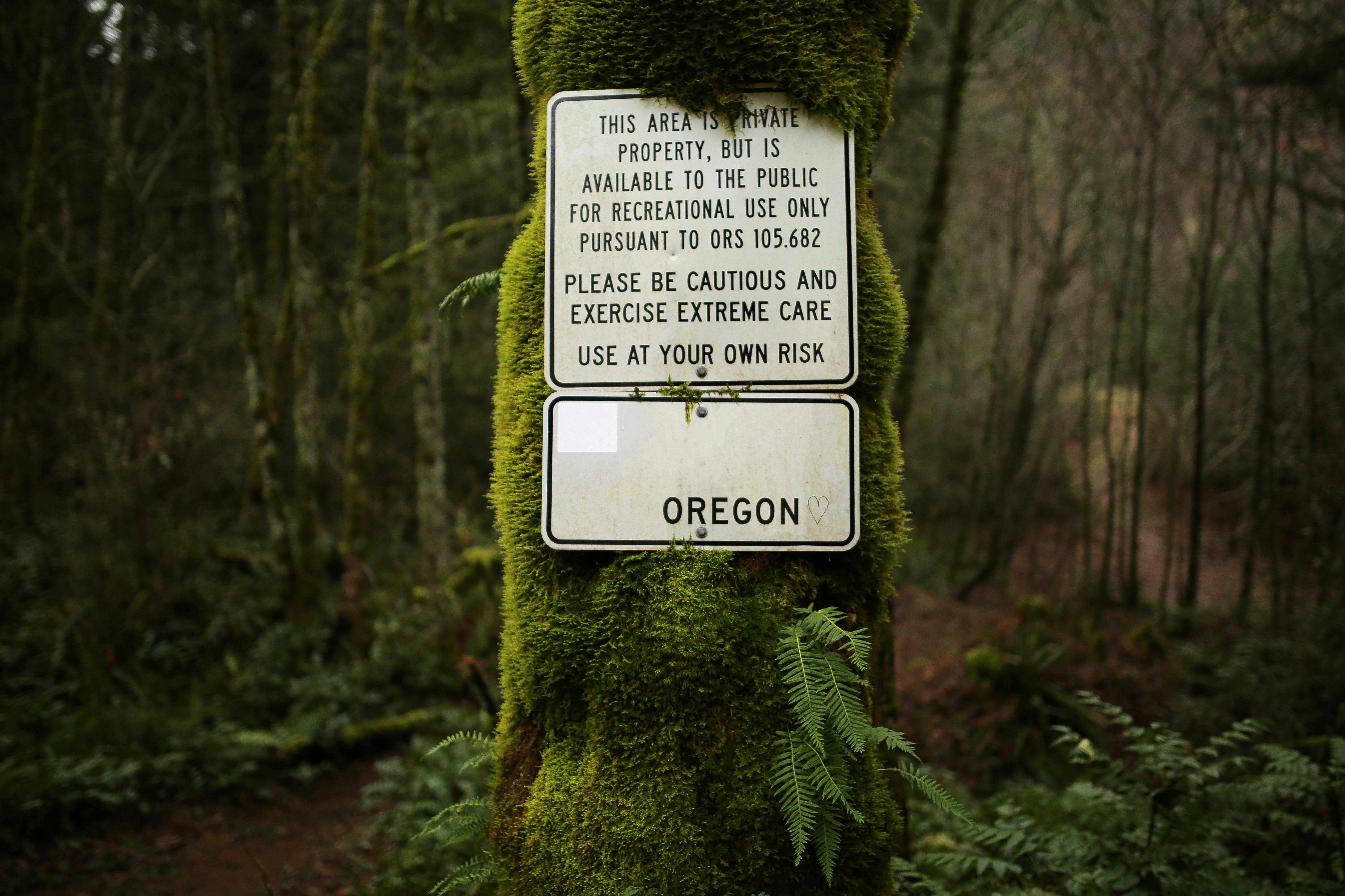 In a Warning Shot, Oregon Insurance Regulators Oust Alternative Health Plan From the State — Photo by ArtHouse Studio on Pexe