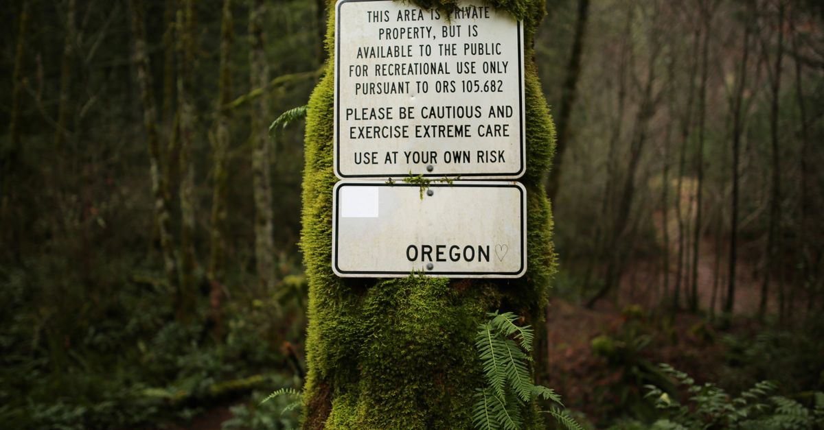 A moss-covered warning sign in a wooded Oregon path, evoking a moody, natural atmosphere.