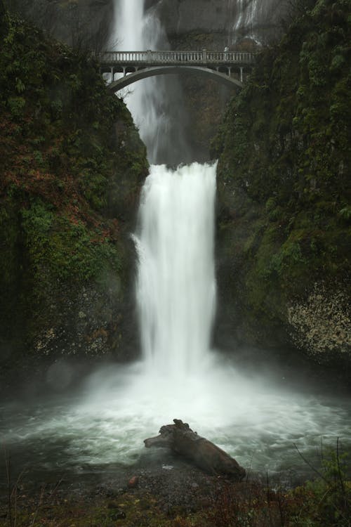 Foto stok gratis air, air terjun, alam