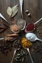 Spoons with Various Spices