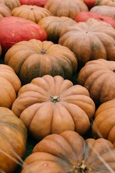 A vibrant display of heirloom pumpkins at an outdoor market, showcasing autumn harvest abundance.