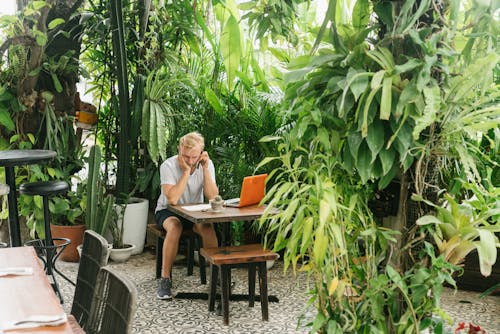 Photos gratuites de être assis, homme, jardin