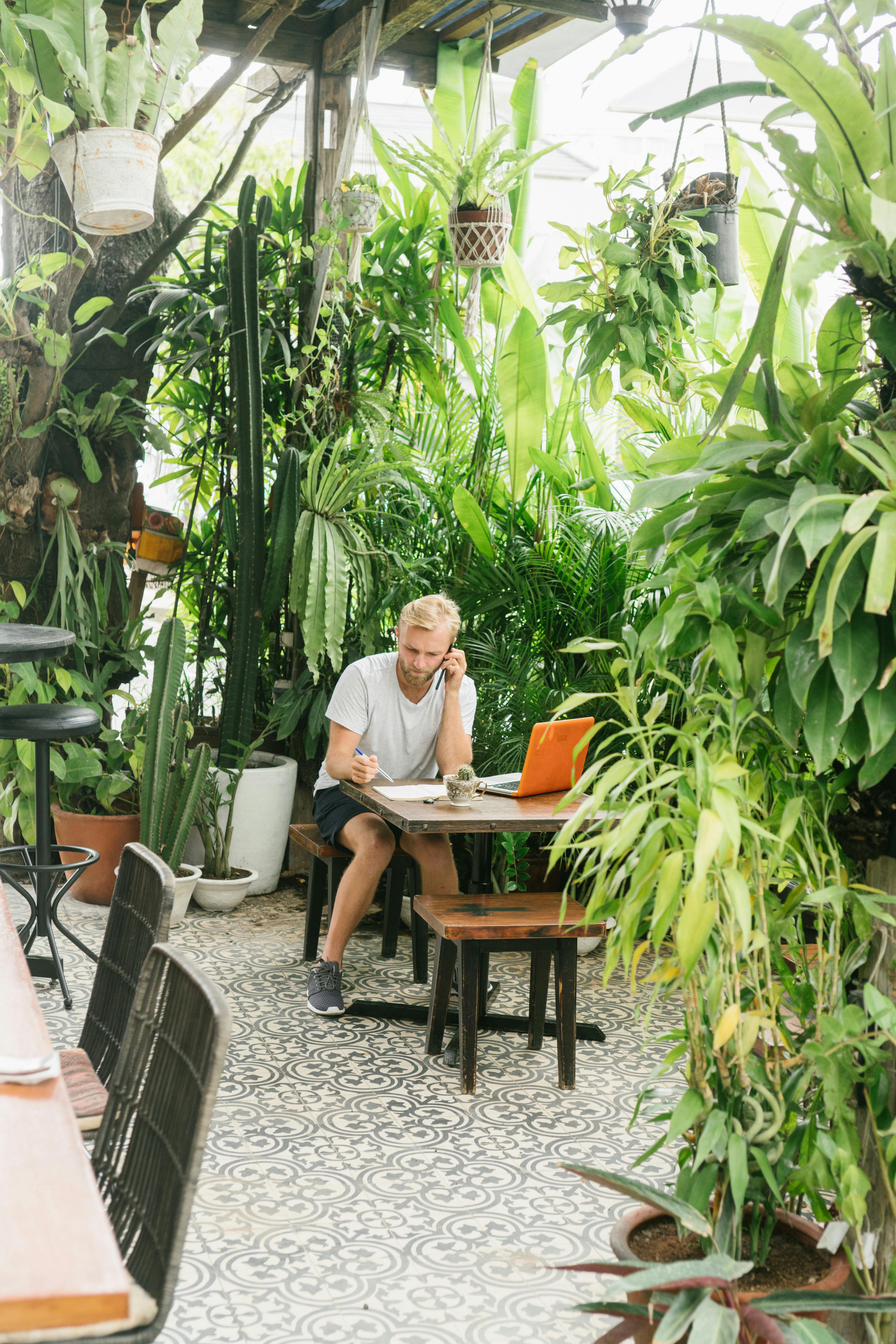 Retro Phone and Plant on Cafe Table · Free Stock Photo