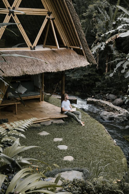 бесплатная Бесплатное стоковое фото с бамбук, вода, деревья Стоковое фото