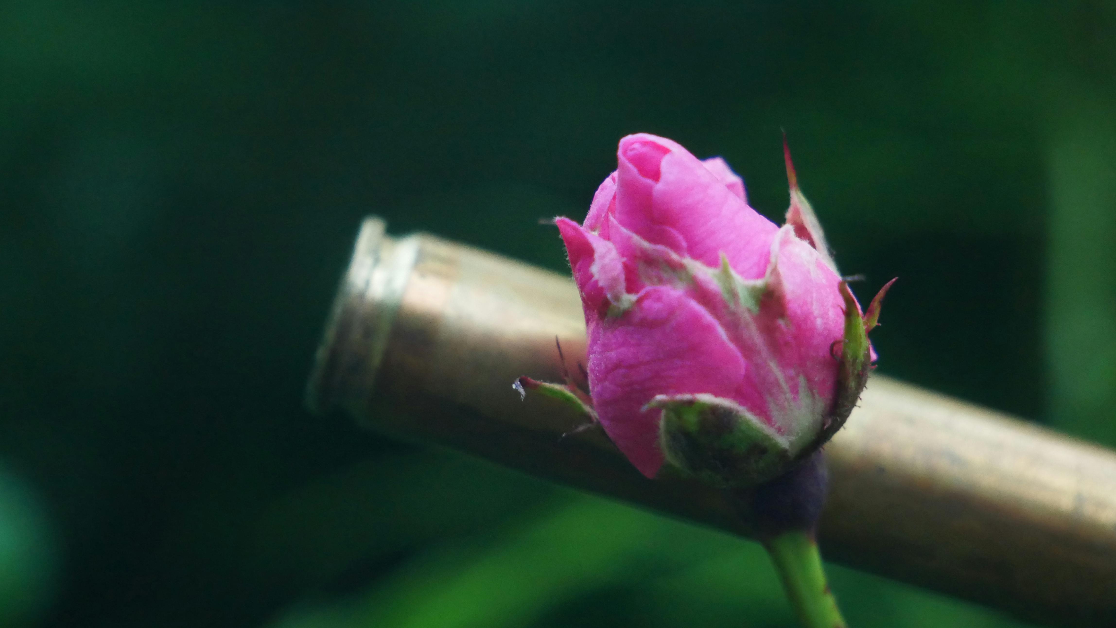 战神：诸神黄昏