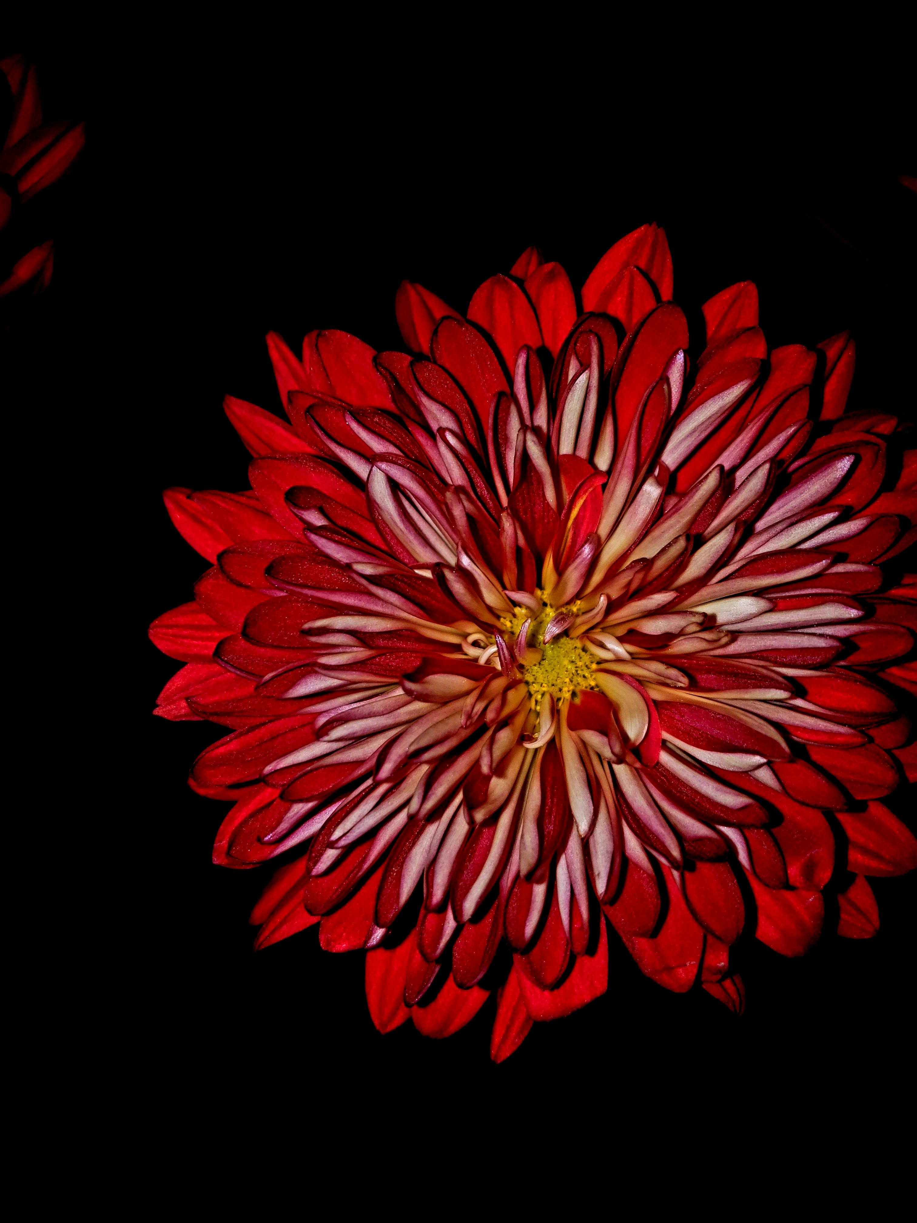 Borderlands 4 Just Shattered Sales Records, But Not Everyone's Happy 1 A person's hands holding a video game controller, illuminated by the glow of a screen.