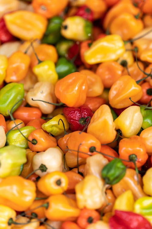 Close Up Photo of Habaneros 