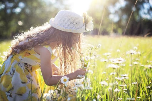 Fille, Cueillette, Fleurs