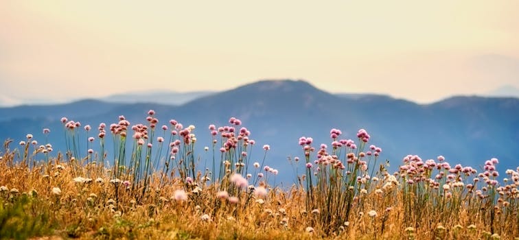 Free stock photo of landscape, mountains, nature, sky