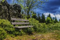 Gray Wooden Bench Surrounded by Plants