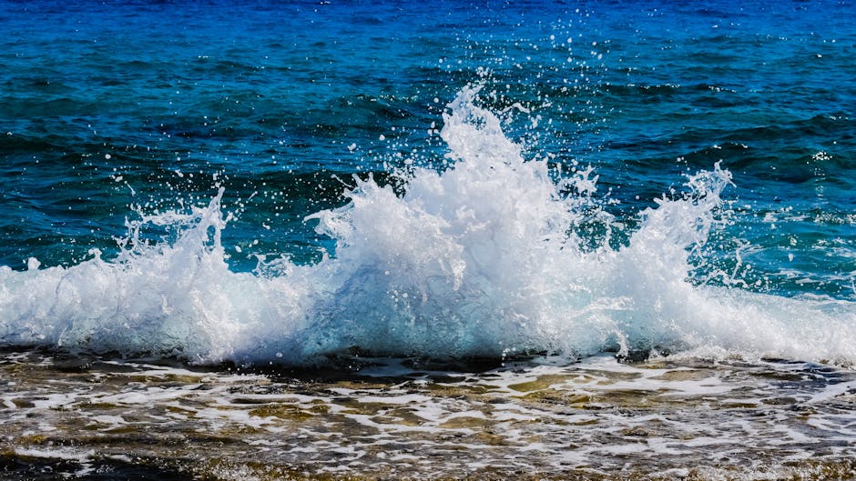 beach, liquid, nature