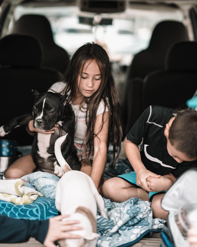 Kids And Dog In Car Boot