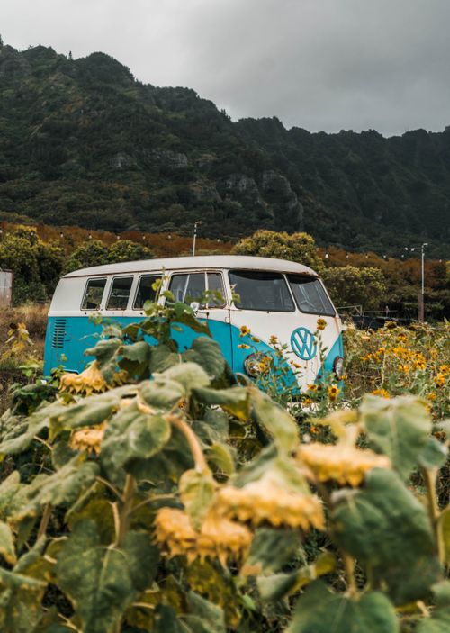 Free Vintage van surrounded by sunflowers and hills, capturing a nostalgic summer scene. Stock Photo