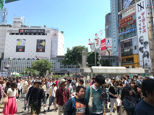 Free stock photo of crosswalk, japan, people Stock Photo