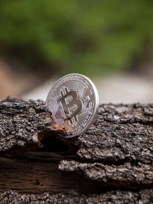 Silver Bitcoin on Log
