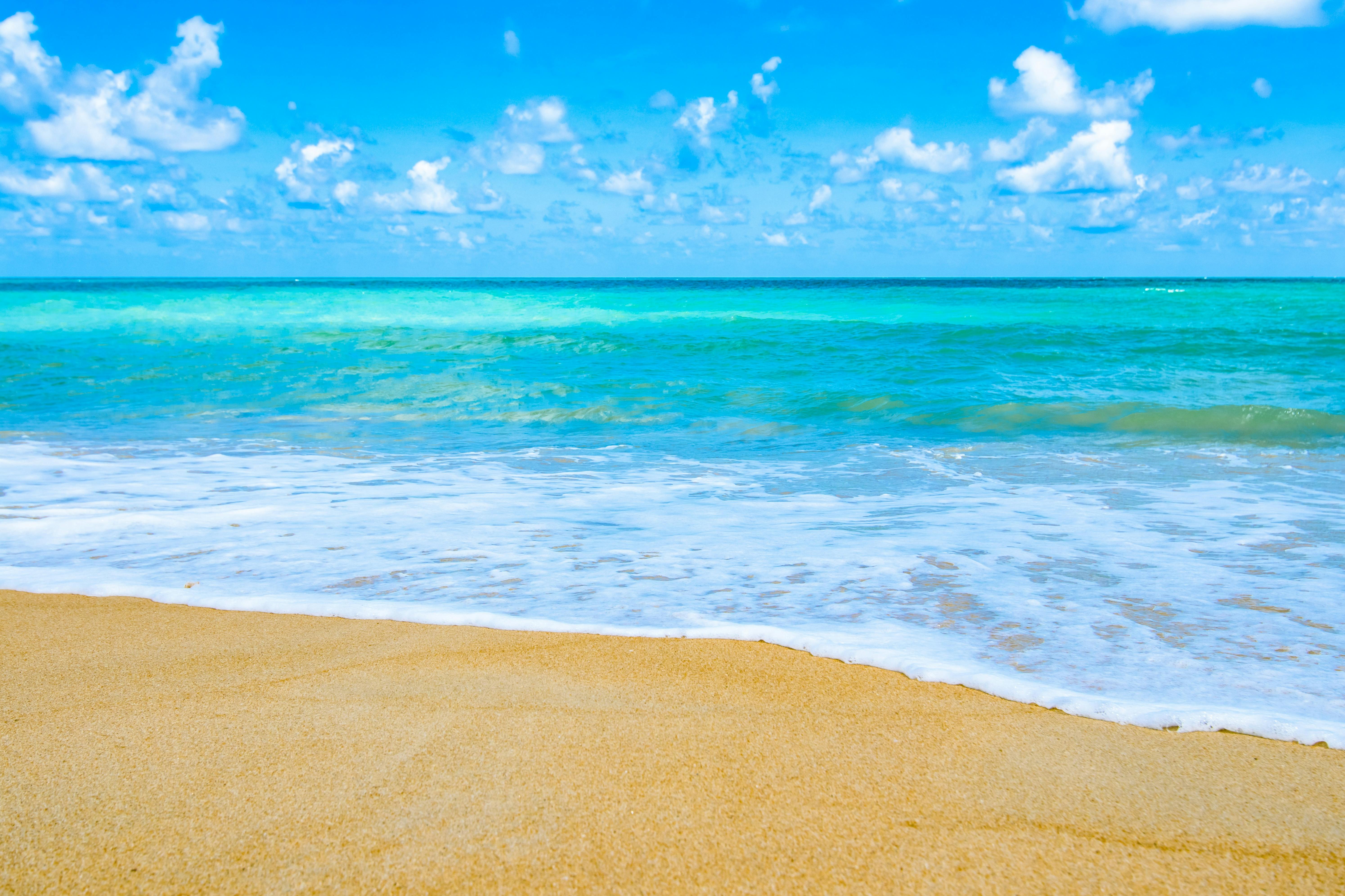 Free stock photo of beach, nature, ocean