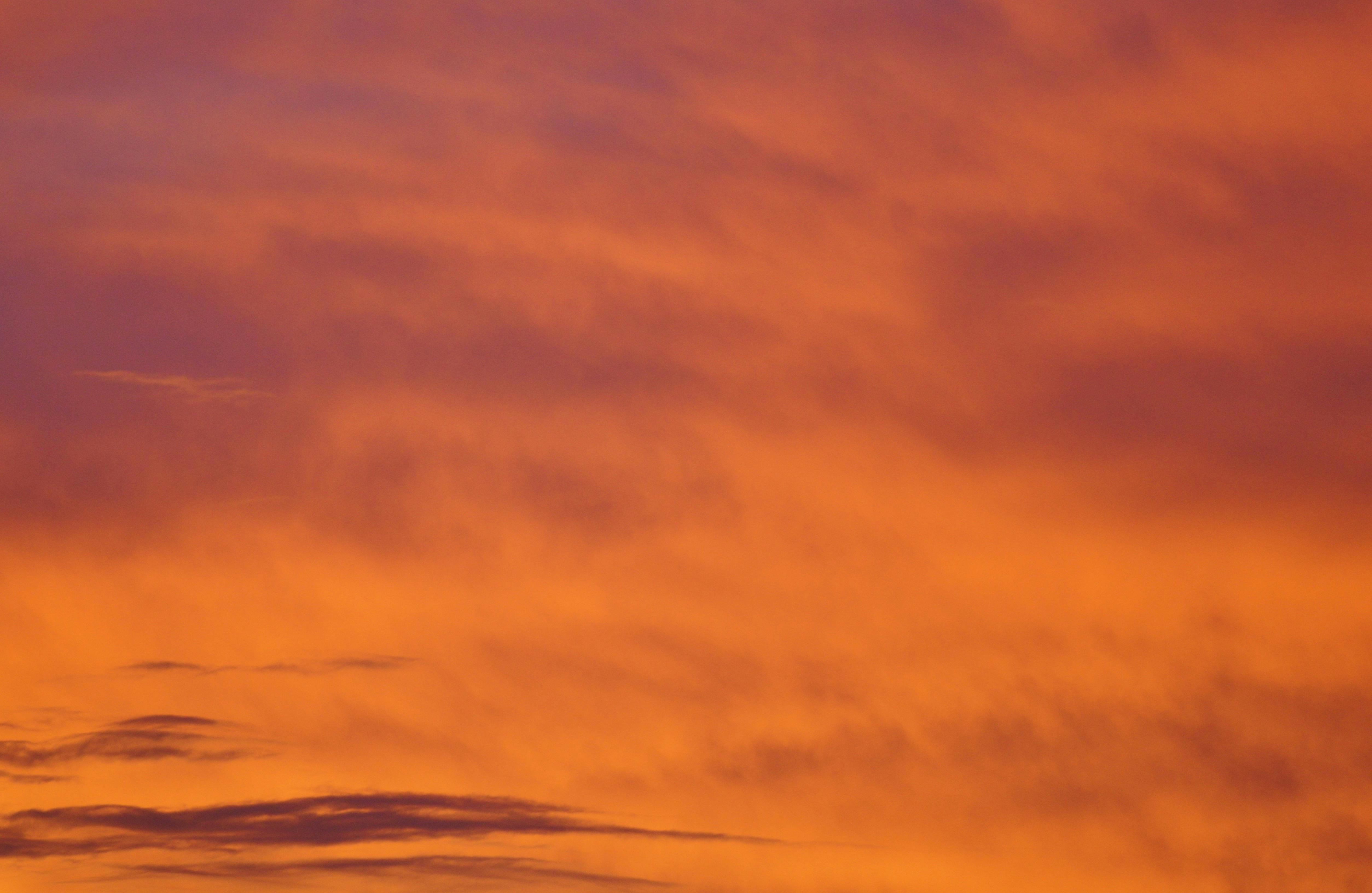 Orange Sky Photos, Download The BEST Free Orange Sky Stock Photos & HD  Images