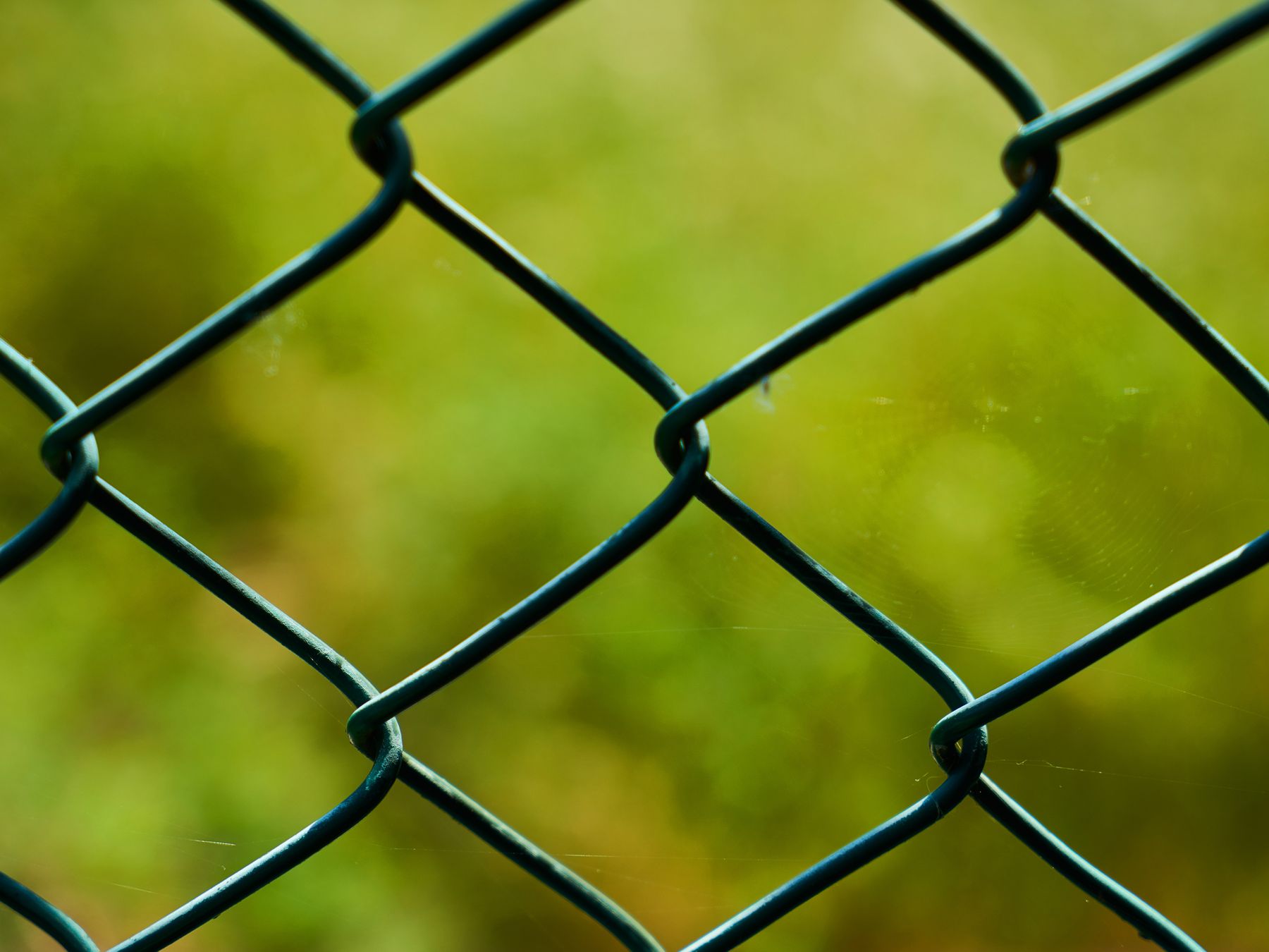 Fence and Decking Painting in Upton Park — walls rolled to an even, flat finish