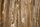 cardboard